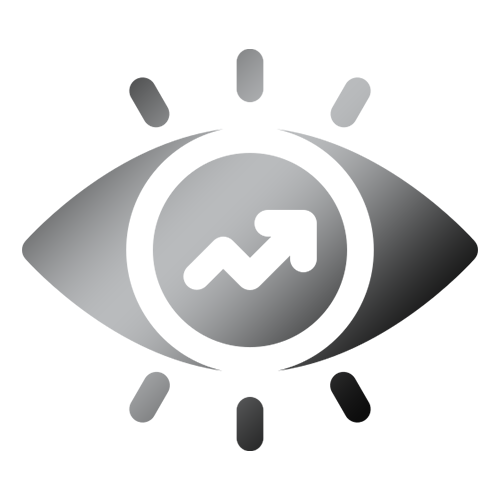 The 33 Collective Vision